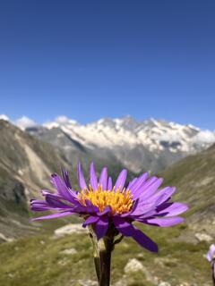 Landschaft rund um Saas-Almagell – Miniaturansicht 3
